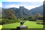 Kirstenbosch Boyanical Gardens, paradise in Cape Town